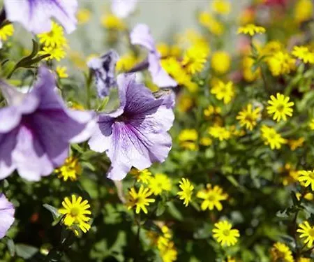 Norcroft Maison d'hôtes 4*